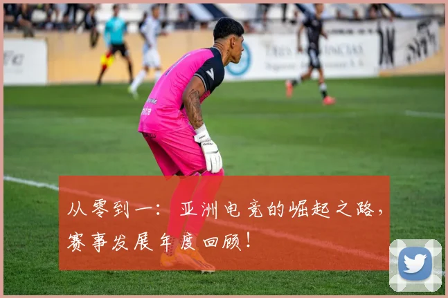从零到一:亚洲电竞的崛起之路,赛事发展年度回顾!