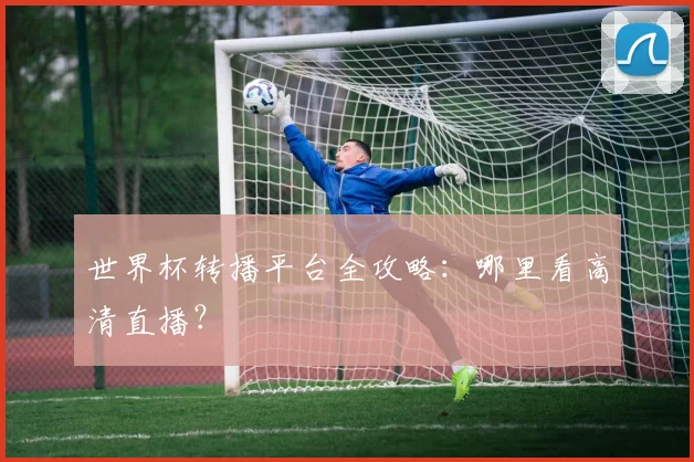 世界杯转播平台全攻略：哪里看高清直播？